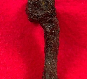 P-1853 Enfield Musket Hammer