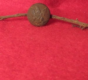Eagle Cuff Button On Root Stem 