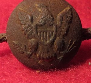 Eagle Cuff Button On Root Stem 