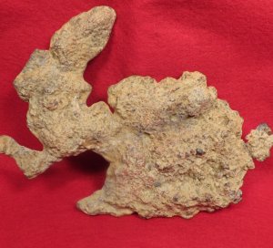 The Excavated Shenandoah Rabbit - Published