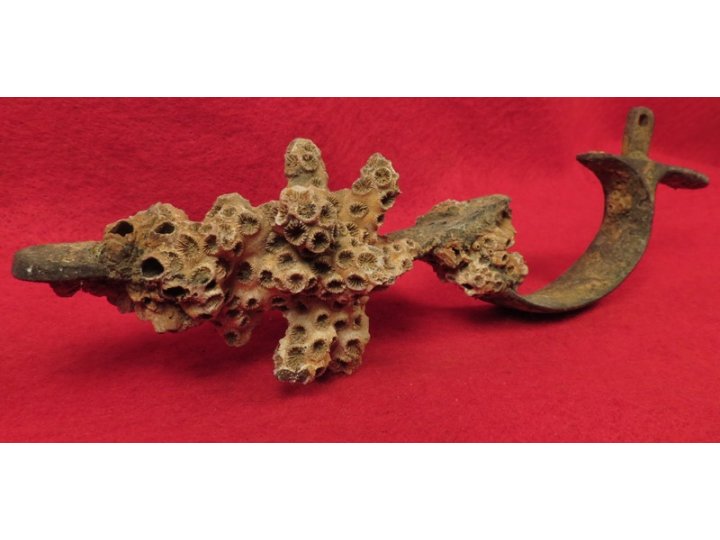 Enfield Rifle Musket Trigger Guard with Corals 
