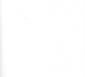 American Military Button Makers and Dealers; Their Backmarks & Dates - Signed by William F. McGuinn