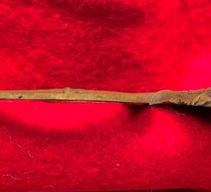 Federal Infantry "Hunting Horn" Hat Insignia with Display Case
