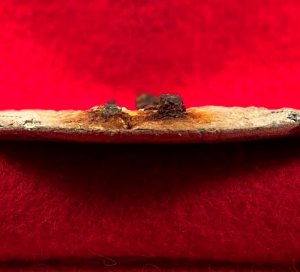 Maine "Burnside" Eagle Plate