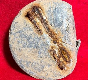 Eagle Plate