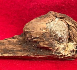 Bullet In Wood