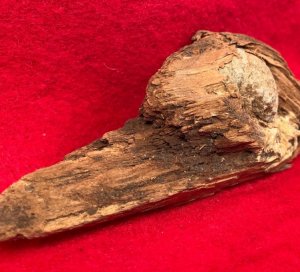 Bullet In Wood