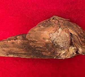 Bullet In Wood