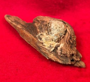 Bullet In Wood