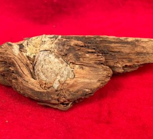 Bullet In Wood