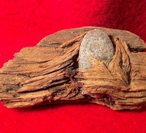 Bullet In Wood