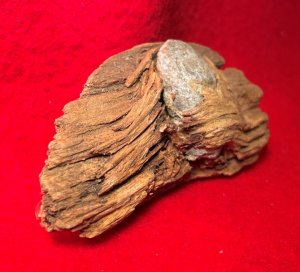 Bullet In Wood
