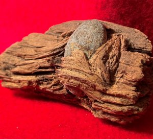 Bullet In Wood