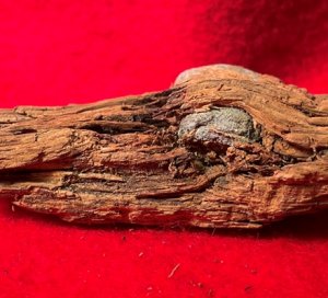 Bullet In Wood