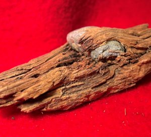 Bullet In Wood