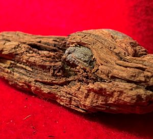 Bullet In Wood