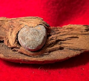 Bullet In Wood
