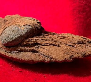 Bullet In Wood