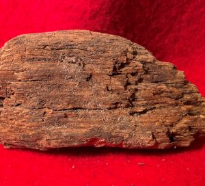Bullet In Wood