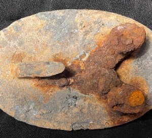 US Belt Buckle and Miscellaneous Relics Dug from the Same Hole