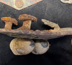 US Belt Buckle and Miscellaneous Relics Dug from the Same Hole