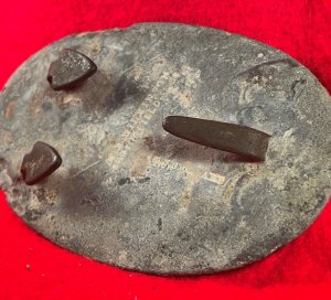 US Waist Belt Buckle - Marked W. H. Wilkinson / Springfield / T. J. Shepard