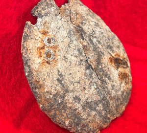 Eagle Plate