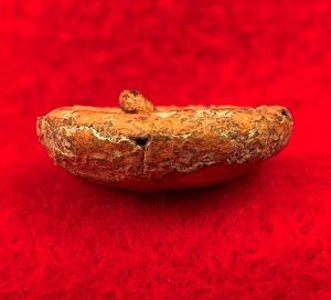Confederate Army Officer Coat Button