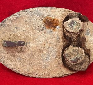 US Waist Belt Buckle - Leather Belt Portion