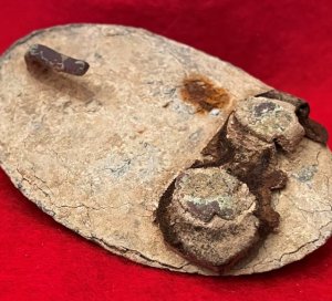 US Waist Belt Buckle - Leather Belt Portion