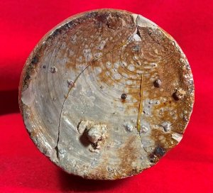 Reconstructed Ceramic Seltzer Bottle - Hut Site Recovery