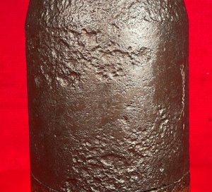 Federal 7-Inch Dyer Shell - Huge Shell in Two Pieces