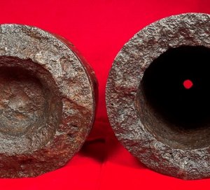Federal 7-Inch Dyer Shell - Huge Shell in Two Pieces