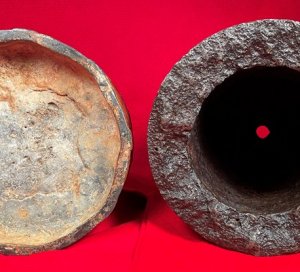 Federal 7-Inch Dyer Shell - Huge Shell in Two Pieces