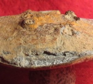 US Cartridge Box Plate - With Very Rare Mark of "J. Iden / 137 Elm St. N.Y" - Catlett Brothers Collection