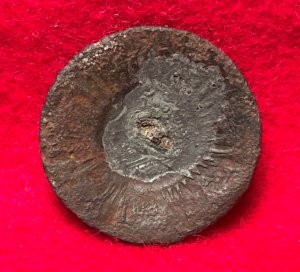 North Carolina "Sunburst" Coat Button - Silvered