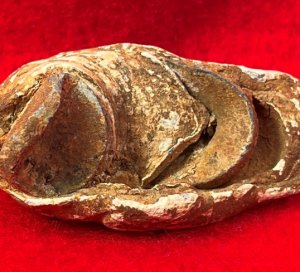 Collided Type III Williams Cleaner Bullets