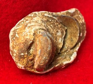 Collided Type III Williams Cleaner Bullets