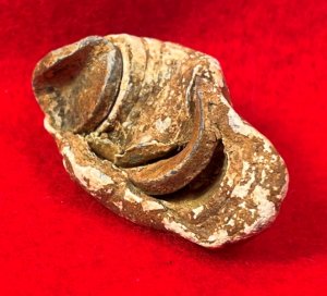 Collided Type III Williams Cleaner Bullets