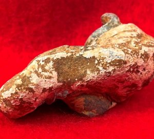 Collided Type III Williams Cleaner Bullets