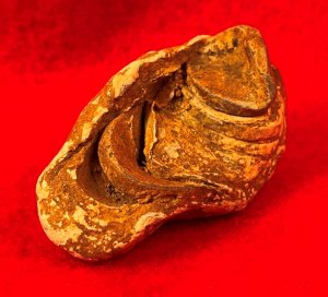 Collided Type III Williams Cleaner Bullets