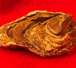 Collided Type III Williams Cleaner Bullets