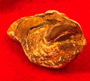 Collided Type III Williams Cleaner Bullets