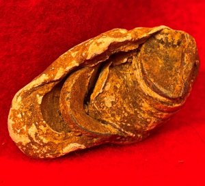 Collided Type III Williams Cleaner Bullets