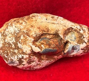 Collided Type III Williams Cleaner Bullets