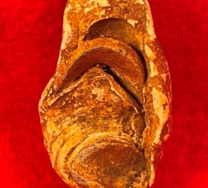 Collided Type III Williams Cleaner Bullets