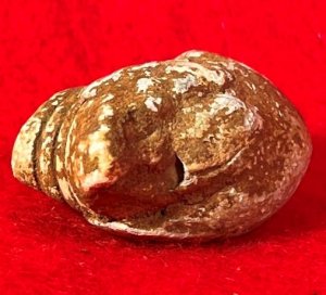 Collided Three-Ring Bullets