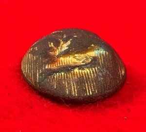 Confederate Staff Army Officer Coat Button - Rare Local