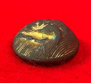 Confederate Staff Army Officer Coat Button - Rare Local