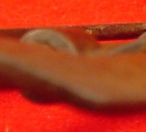 Federal Carbine Sling Buckle - High Quality